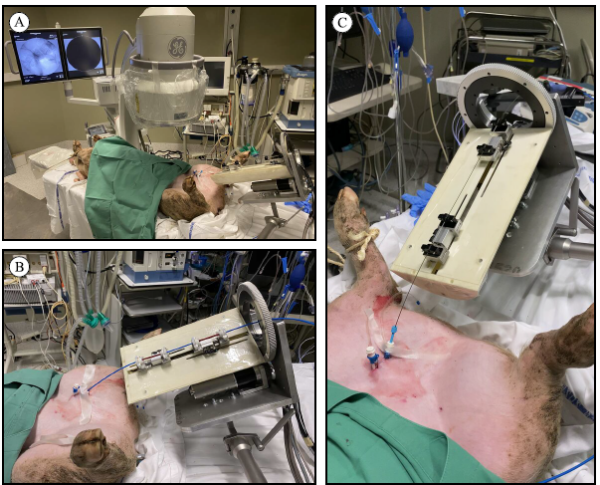Force Control With a Novel Robotic Catheterization System Based on Braided Sleeve Grippers main image